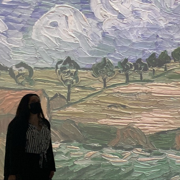 Meet your Posher, Rosie - Picture 1 of 1